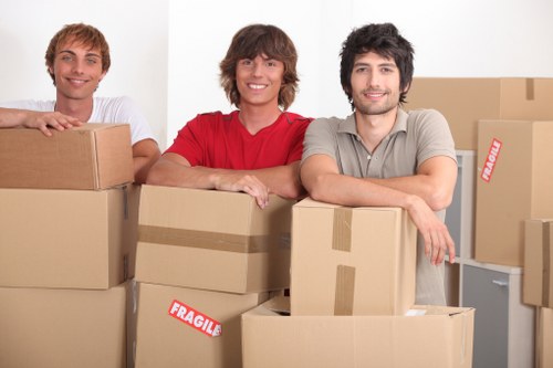 Local moving team handling boxes and furniture in Crystal Palace