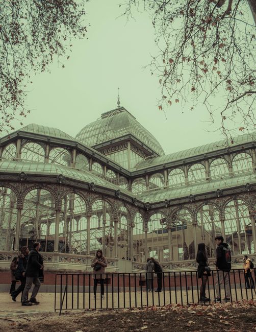 A large, ornate glass conservatory building with intricate metal framing visible through multiple curved glass panels, situated outdoors with a paved area in front. Several people are standing and walking near the structure, some engaged with their phones or talking. The scene is framed by overhanging tree branches with sparse leaves, suggesting autumn or early winter. The lighting appears natural and slightly subdued, consistent with an overcast day. This image depicts an urban setting in Crystal Palace, relevant to house removals and moving services as it reflects the type of location where furniture transport and home relocation activities may occur, supporting the services offered by Man With a Van Crystal Palace.