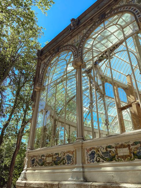 A detailed view of a historic glasshouse with a curved, ornate metal and glass structure. The greenhouse features large arched windows with decorative metal framing, intricate painted floral motifs on the lower panels, and a visible wooden scaffolding or support structure inside. The glass panels reflect the blue sky and surrounding green trees, indicating it is outdoors. Sunlight streams through the glass, illuminating the interior. The scene captures the architectural beauty of the conservatory, which is associated with house and garden features often involved in relocation or home improvement projects, as referenced on the page about moving from Upper Norwood to Crystal Palace by Man With a Van Crystal Palace.